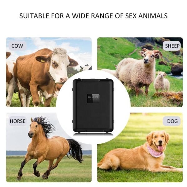 HCS015 Long-Lasting 4G GPS Tracker for Livestock Monitoring
